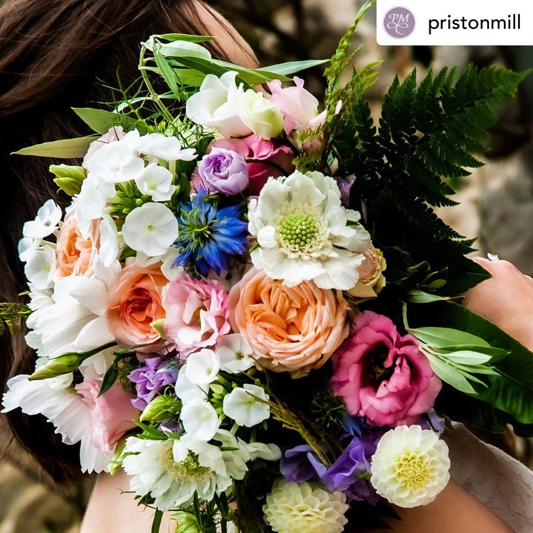 Devizes florists, devizes wedding florist, mother's day bouquet Devizes, grown, florist, devizes, devizes florists, wedding, southwest florist, devizes gifts, mother's day, seasonal flowers, flower grower