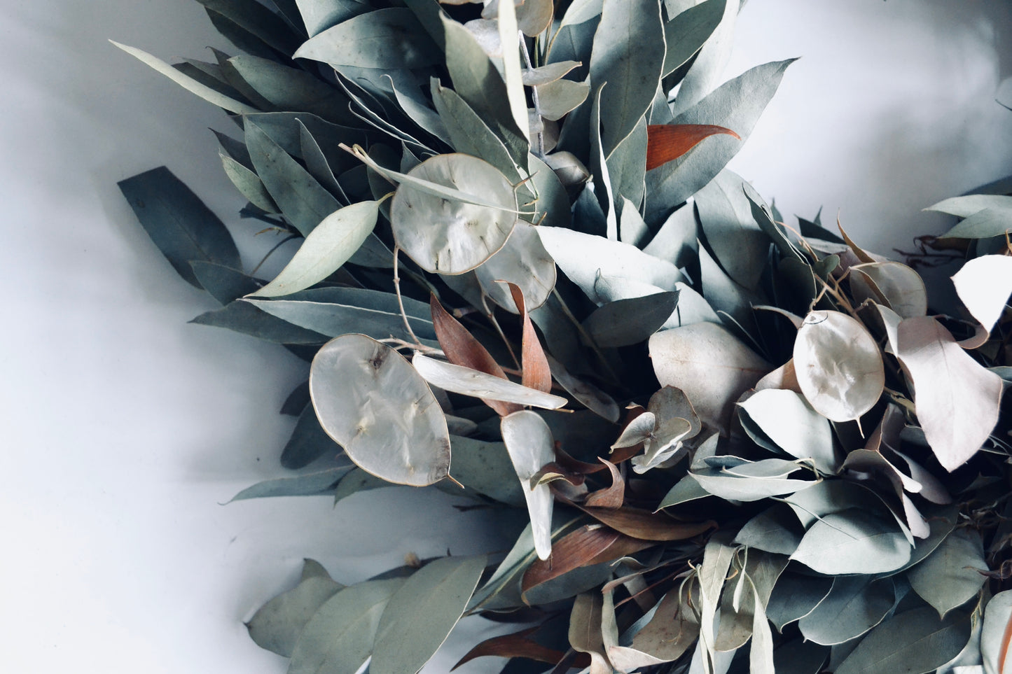 Dried Eucalyptus and Honesty Wreath